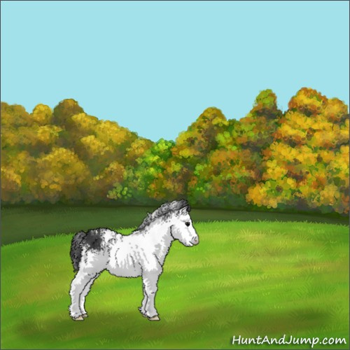 Horse Color:White Spotted Black 