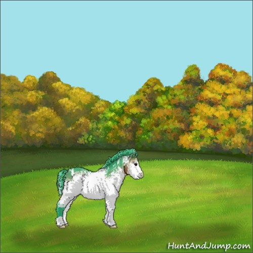 Horse Color:Watercolor White Spotted Brown 
