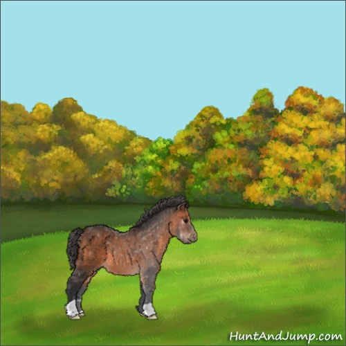 Horse Color:Brown 