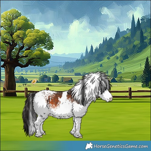 Horse Color:White Spotted Brown 