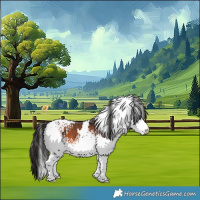 Horse Color:White Spotted Brown 