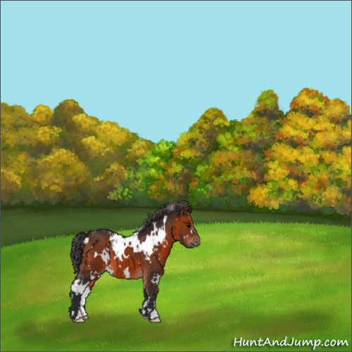 Horse Color:White Spotted Brown 