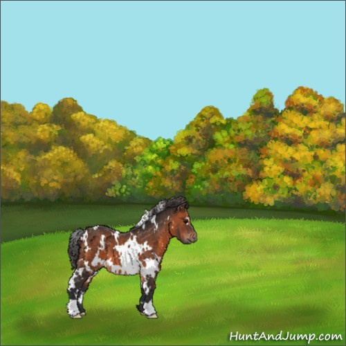 Horse Color:White Spotted Brown 
