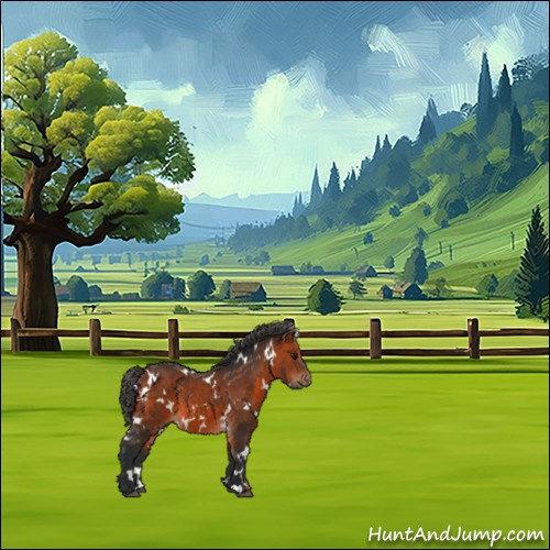 Horse Color:White Spotted Bay 