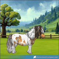 Horse Color:White Spotted Buckskin Tobiano 