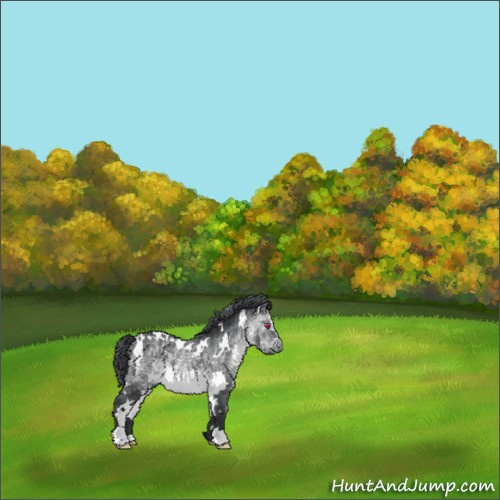 Horse Color:White Spotted Brown Chinchilla 