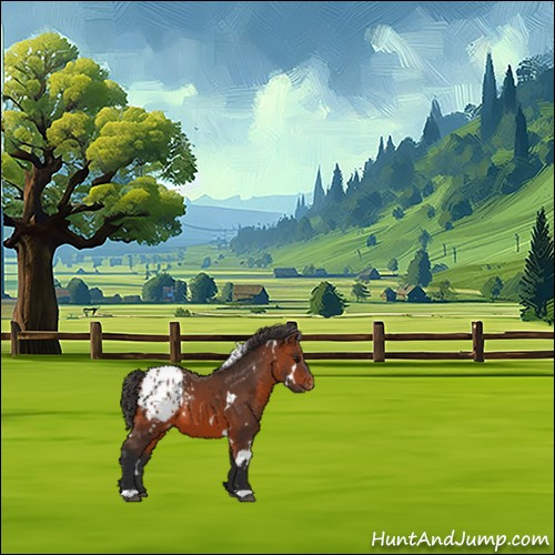 Horse Color:White Spotted Bay Appaloosa