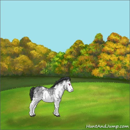 Horse Color:White Spotted Bay Chinchilla 