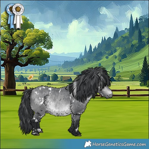 Horse Color:White Spotted Bay Chinchilla 