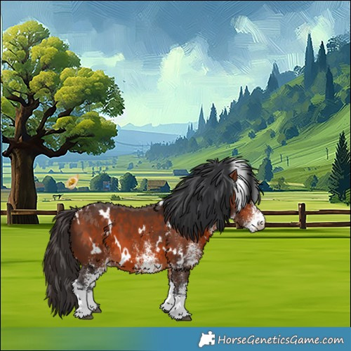 Horse Color:White Spotted Bay 