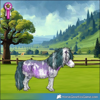 Horse Color:Watercolor White Spotted Bay 