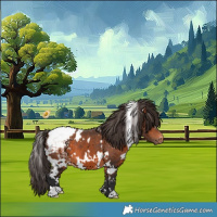 Horse Color:White Spotted Bay Snowcap 