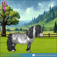 Horse Color:White Spotted Bay Chinchilla 