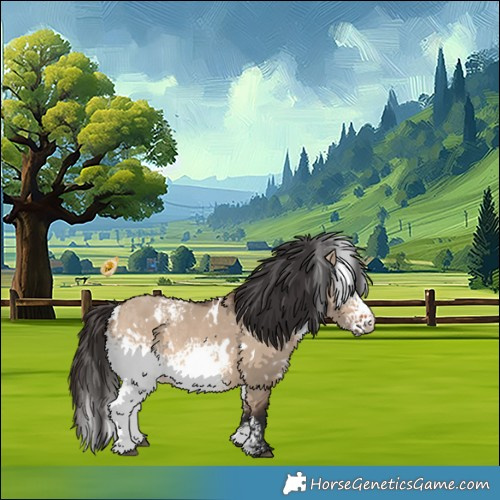 Horse Color:White Spotted Bay Dun