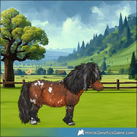 Horse Color:White Spotted Bay 