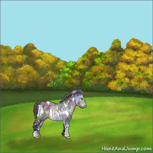 Horse Color:Nacre White Spotted Bay Chinchilla 