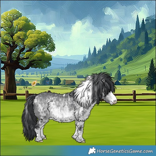 Horse Color:White Spotted Bay Chinchilla 