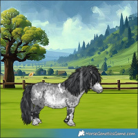 Horse Color:White Spotted Bay Chinchilla 