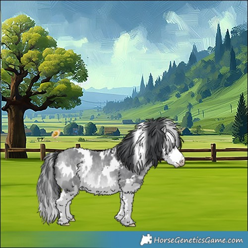 Horse Color:White Spotted Bay Chinchilla Splash 