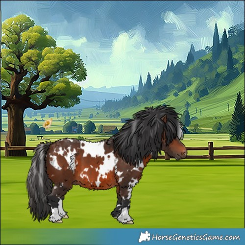 Horse Color:White Spotted Brown 
