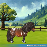 Horse Color:White Spotted Bay Blanket 