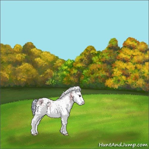 Horse Color:Watercolor White Spotted Bay 