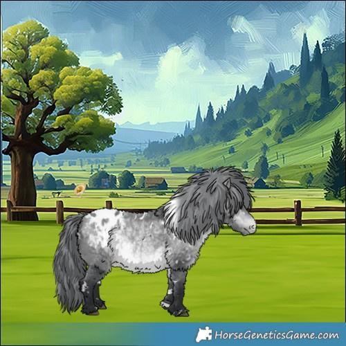 Horse Color:White Spotted Bay Chinchilla Appaloosa