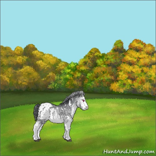 Horse Color:White Spotted Bay Chinchilla Appaloosa 