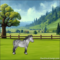 Horse Color:White Spotted Bay Chinchilla 