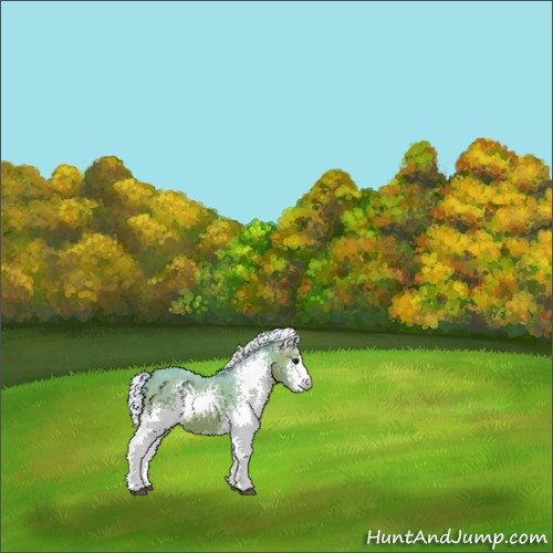 Horse Color:Watercolor White Spotted Silver Bay 