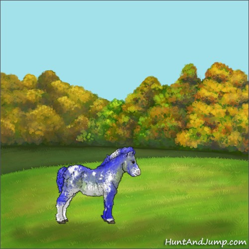 Horse Color:Watercolor White Spotted Brown Appaloosa 