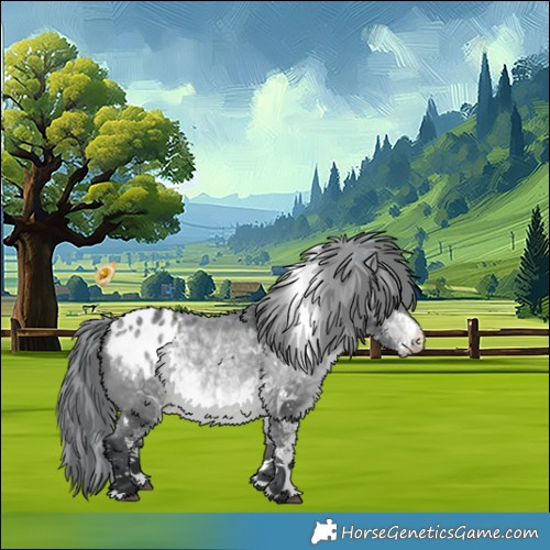 Horse Color:White Spotted Bay Chinchilla Appaloosa 