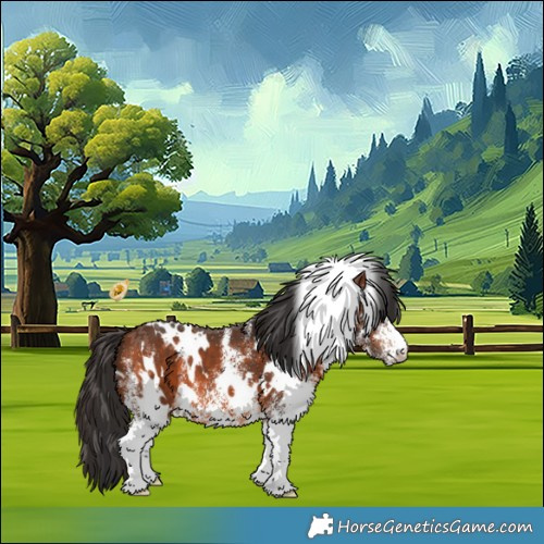 Horse Color:White Spotted Bay 