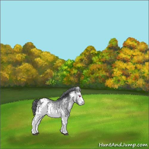 Horse Color:White Spotted Bay Chinchilla Appaloosa 