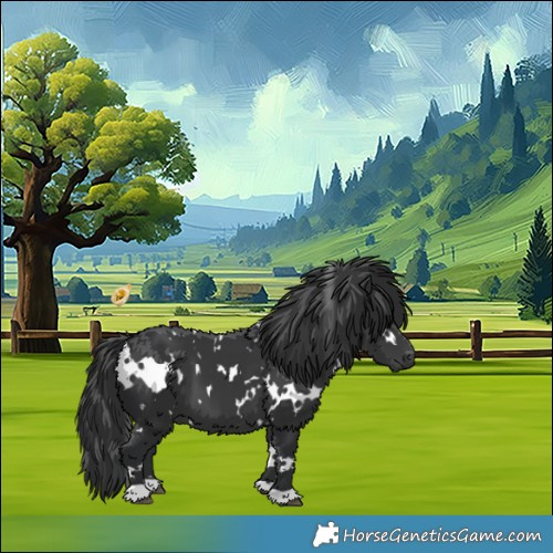 Horse Color:White Spotted Black