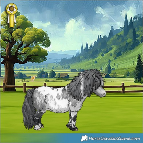 Horse Color:White Spotted Bay Chinchilla Appaloosa 