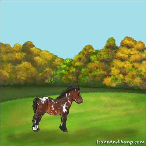 Horse Color:White Spotted Brown 