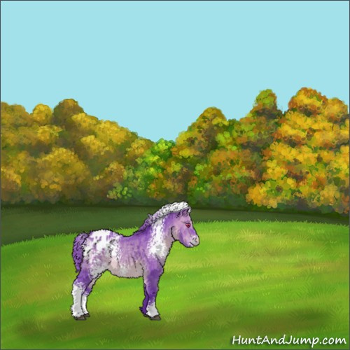 Horse Color:Watercolor White Spotted Bay Chinchilla Appaloosa 