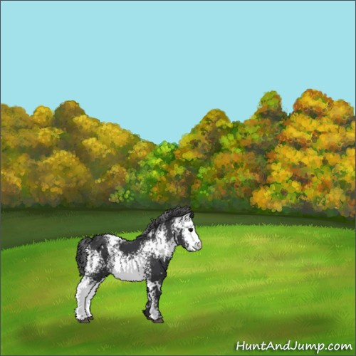 Horse Color:White Spotted Black 
