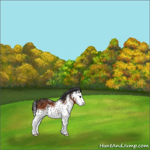Horse Color:White Spotted Brown 