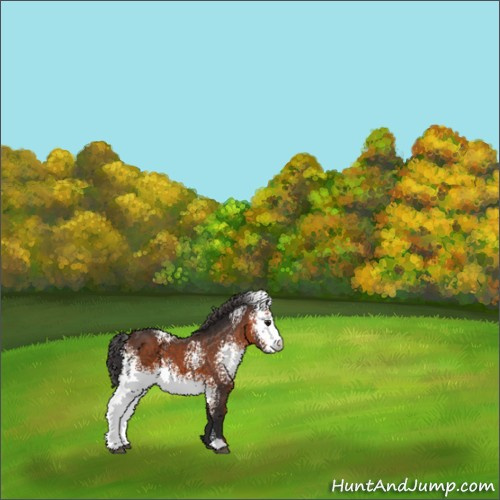 Horse Color:White Spotted Brown 