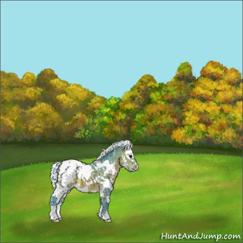 Horse Color:Watercolor White Spotted Silver Bay Appaloosa 