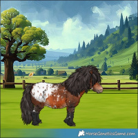 Horse Color:White Spotted Bay Appaloosa 