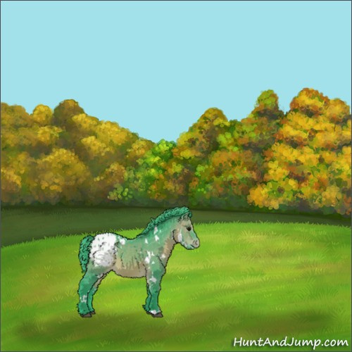 Horse Color:Watercolor White Spotted Bay Appaloosa 