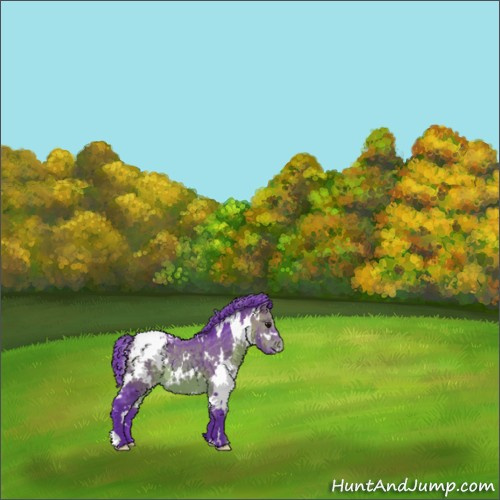 Horse Color:Watercolor White Spotted Bay Appaloosa 