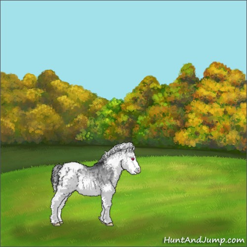 Horse Color:White Spotted Bay Chinchilla Appaloosa 