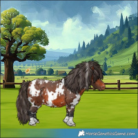 Horse Color:White Spotted Bay Varnish 