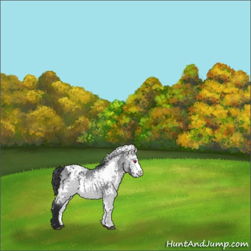 Horse Color:White Spotted Bay Chinchilla 
