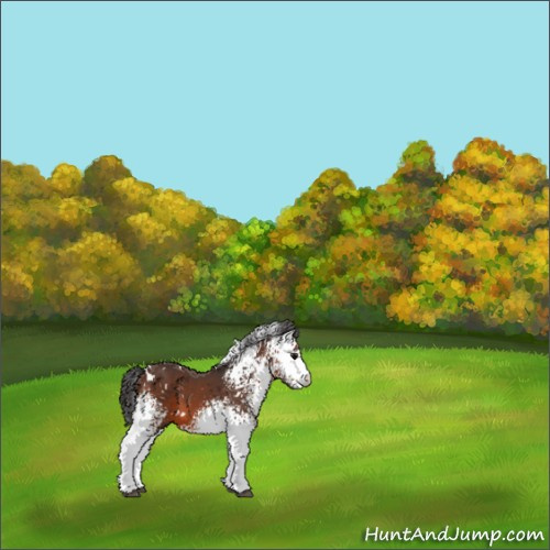 Horse Color:White Spotted Brown 
