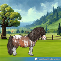 Horse Color:White Spotted Bay Appaloosa